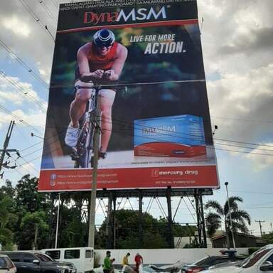 DynaMSM